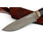 Нож Беркут (сталь vanadis 10, черный граб, литьё, бронза)